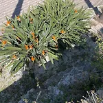 Donna Luisa Bed & Breakfast