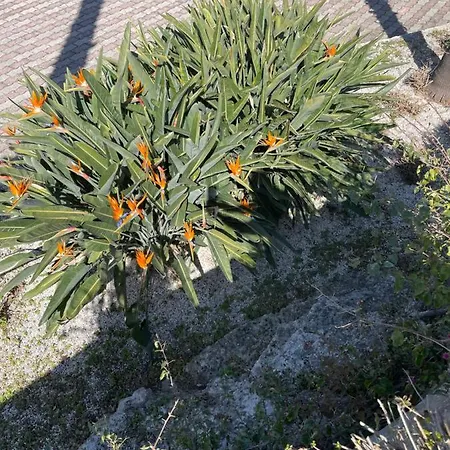 Donna Luisa Alojamento de Acomodação e Pequeno-almoço