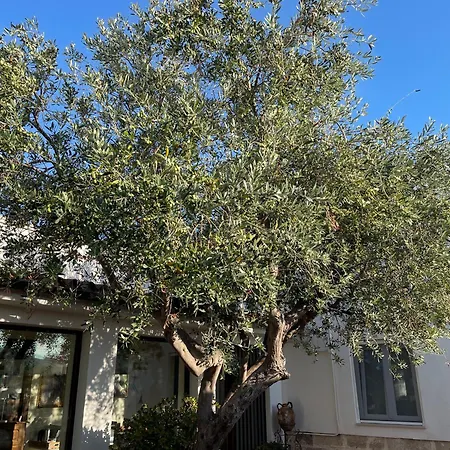 Donna Luisa 4* Monopoli