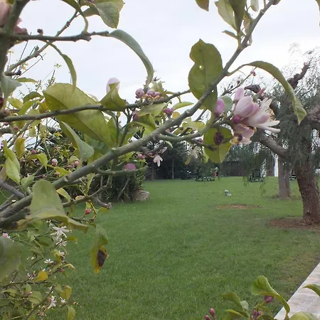 Donna Luisa 4* Monopoli