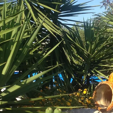 Alojamento de Acomodação e Pequeno-almoço Donna Luisa 4*