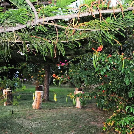 Donna Luisa Monopoli